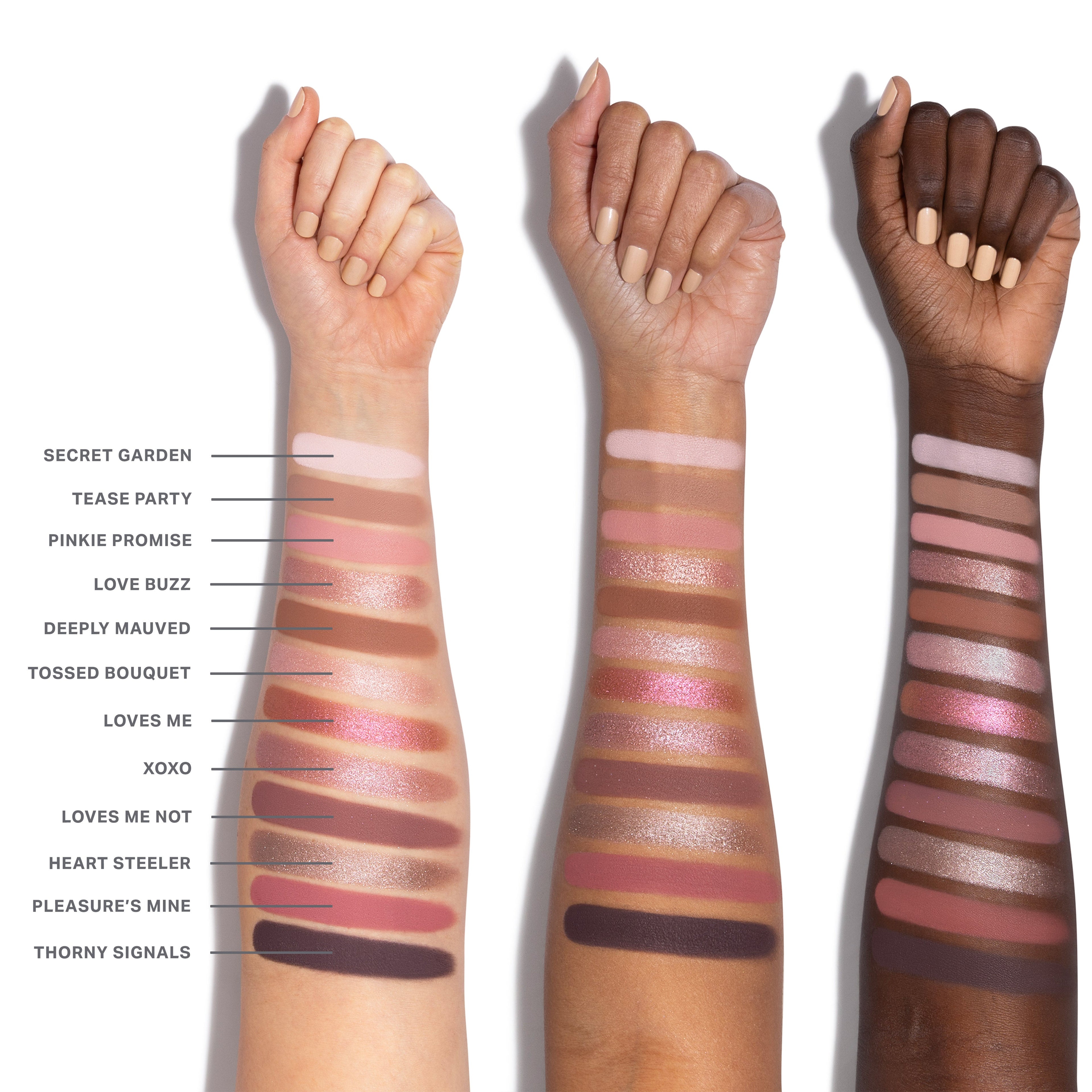 ChromaPlus 12-Pan Eyeshadow Palette