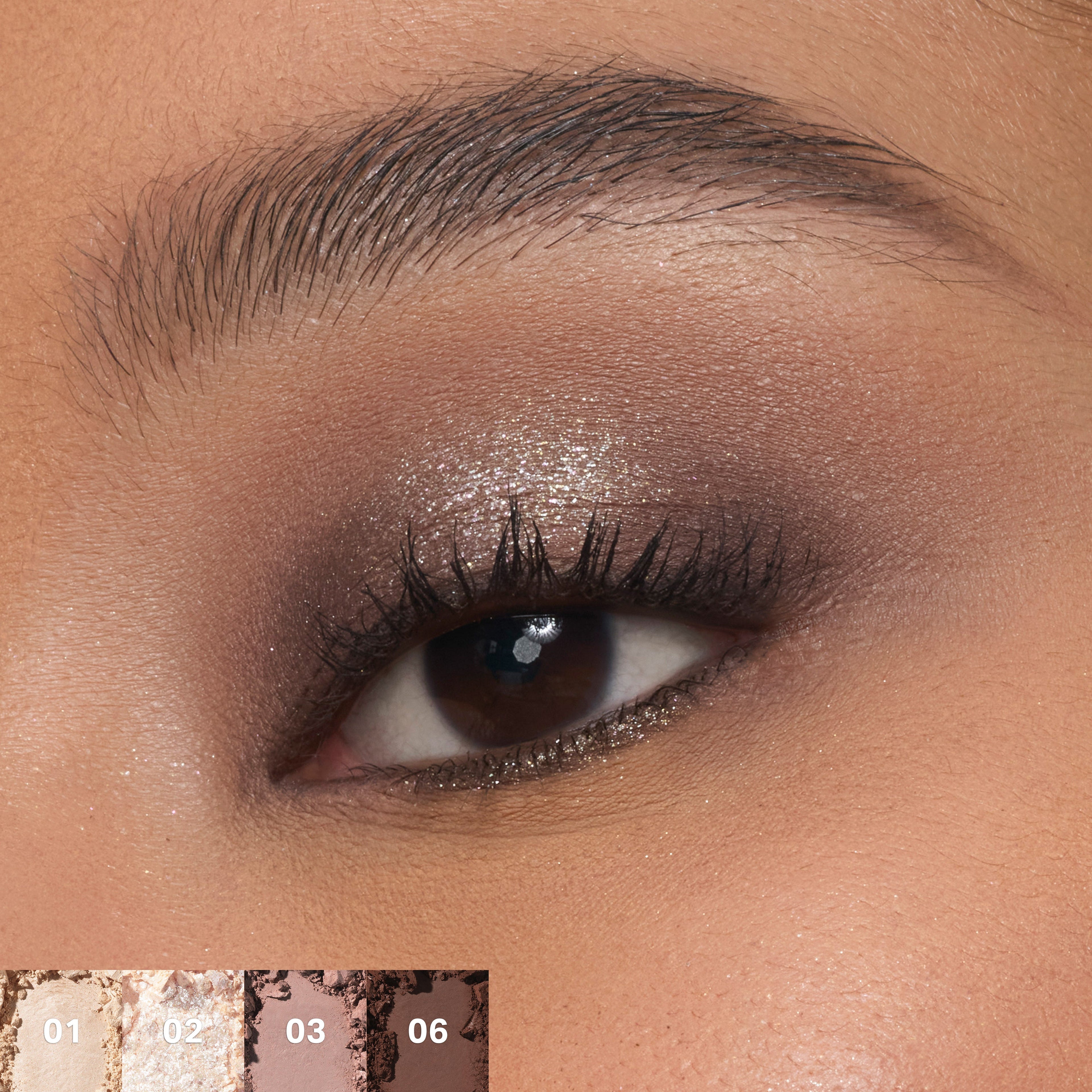 ChromaPlus 6-Pan Eyeshadow Palette